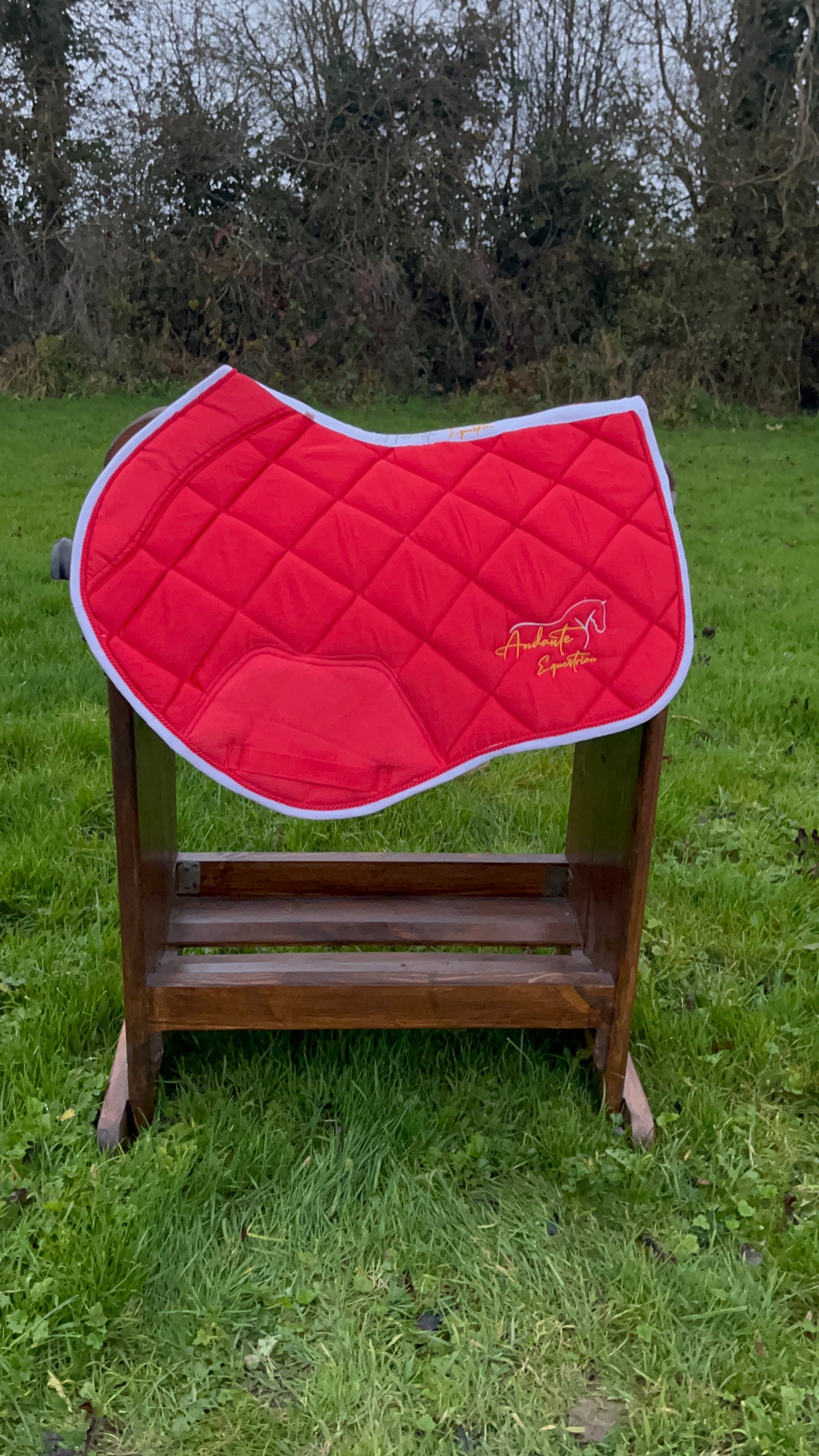 Ruby Red Satin Saddle Pad & Fly Bonnet Set