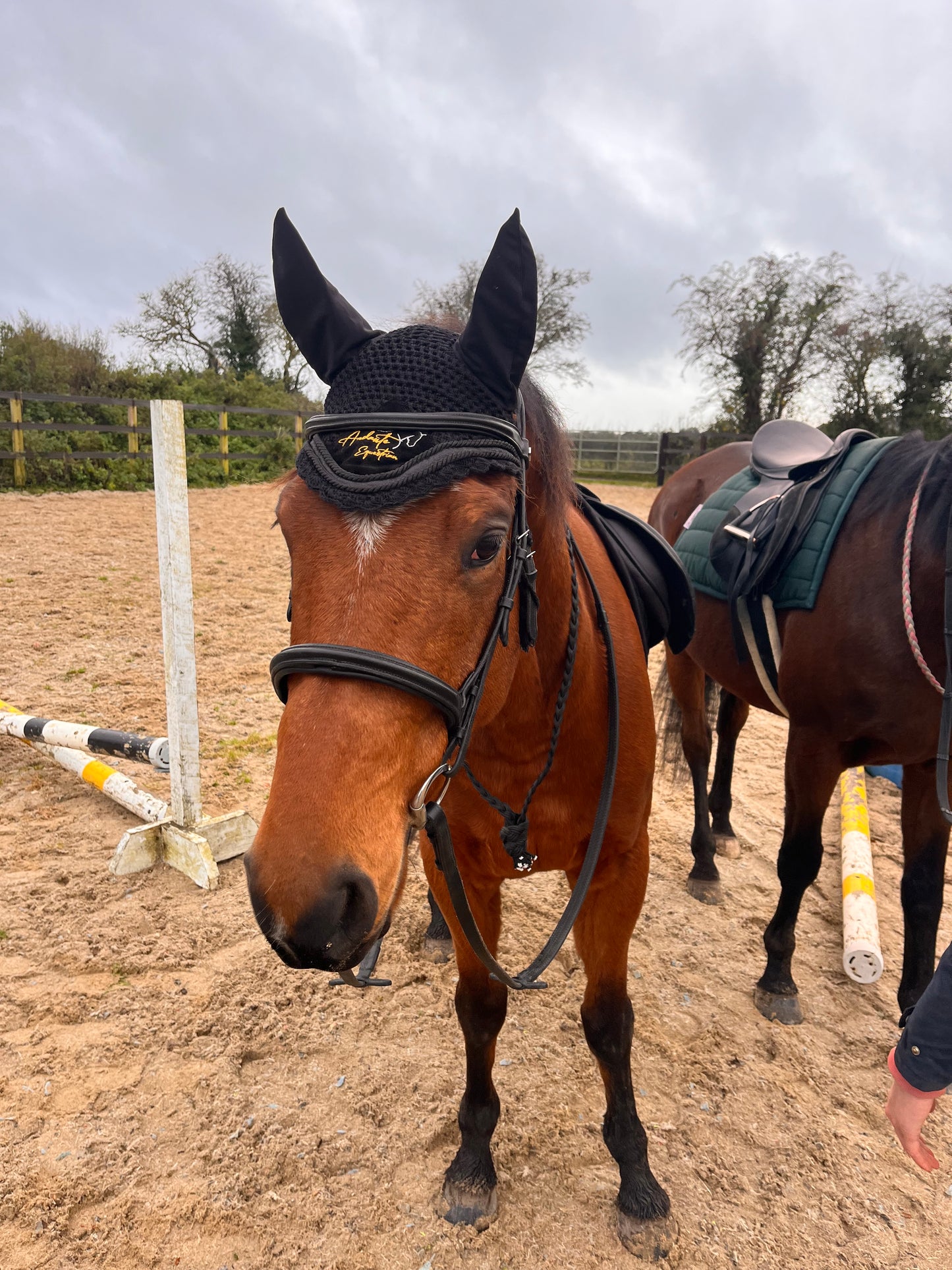 Black Velvet & Glitter Fly Bonnet