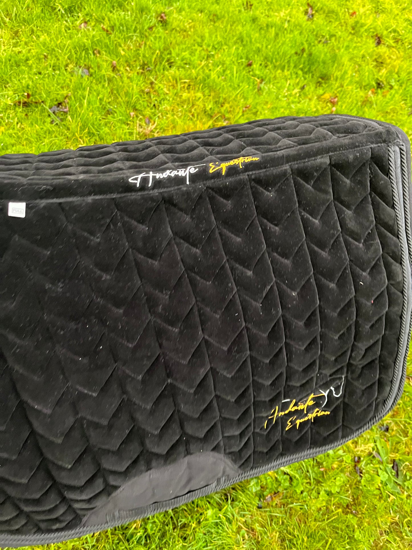 Black Velvet & Glitter GP Saddle Pad