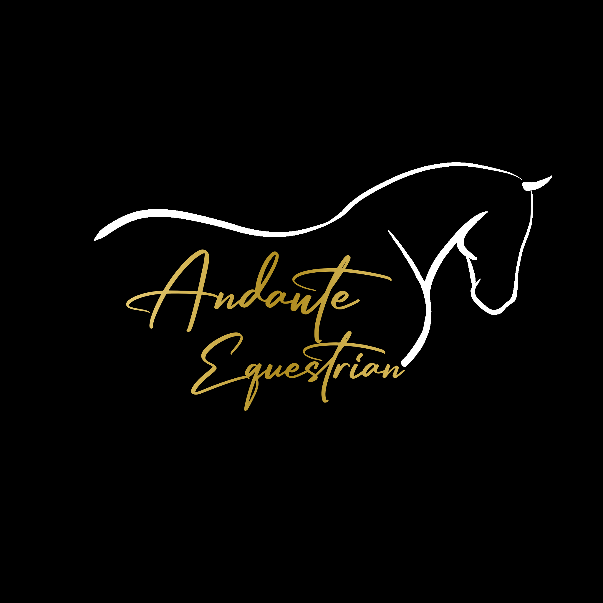 Andante Equestrian