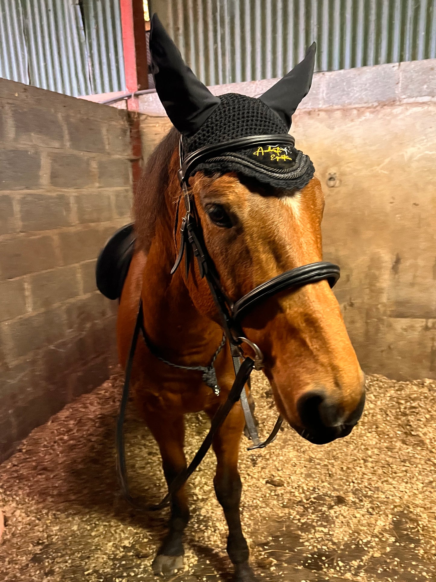 Black Velvet & Glitter Fly Bonnet