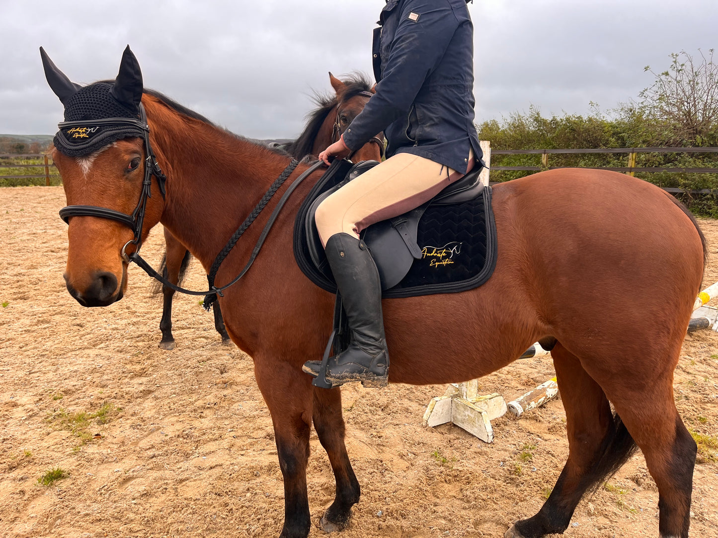 Black Velvet & Glitter Saddle Pad & Fly Bonnet Set