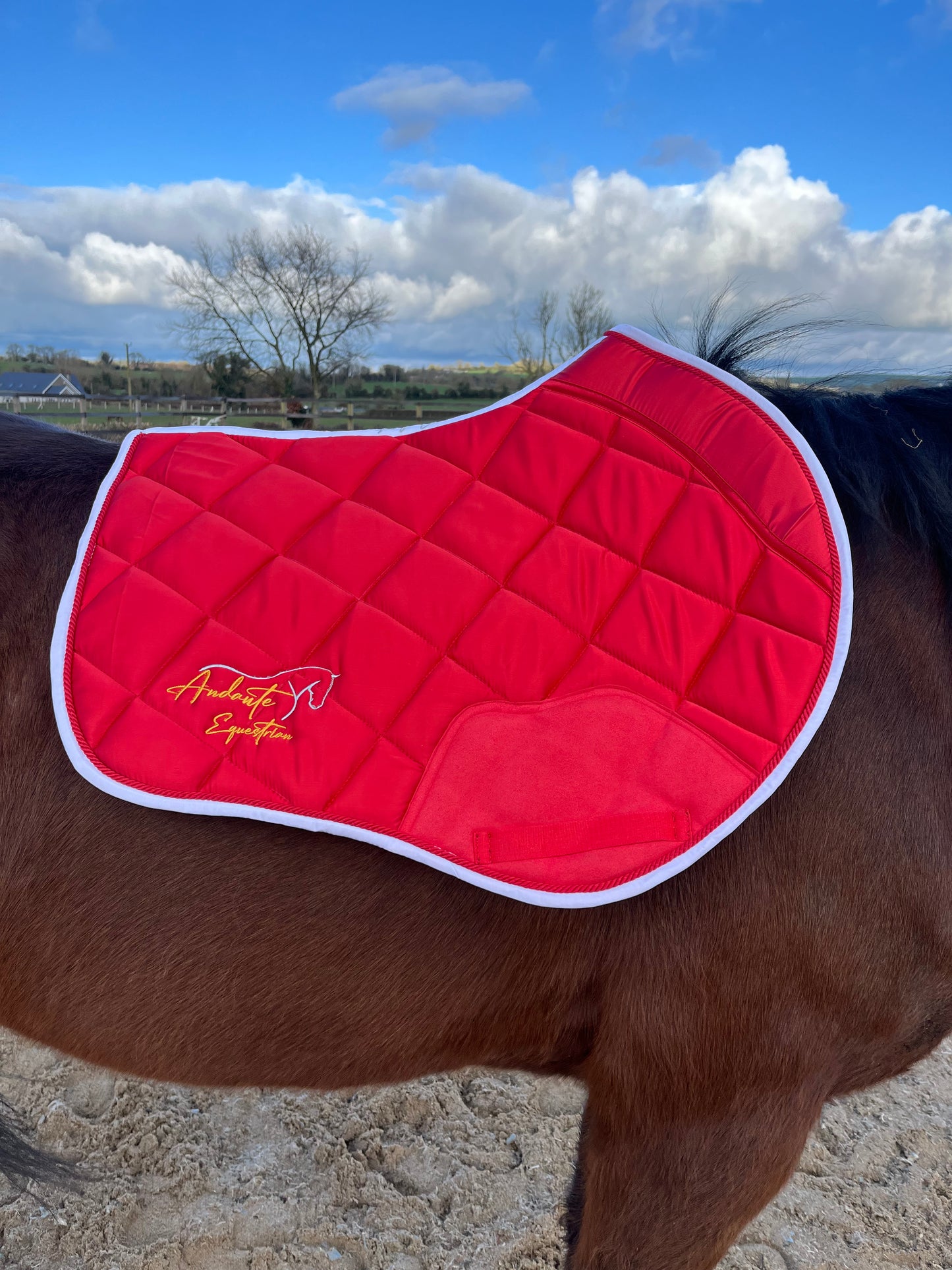 Ruby Red Satin Saddle Pad