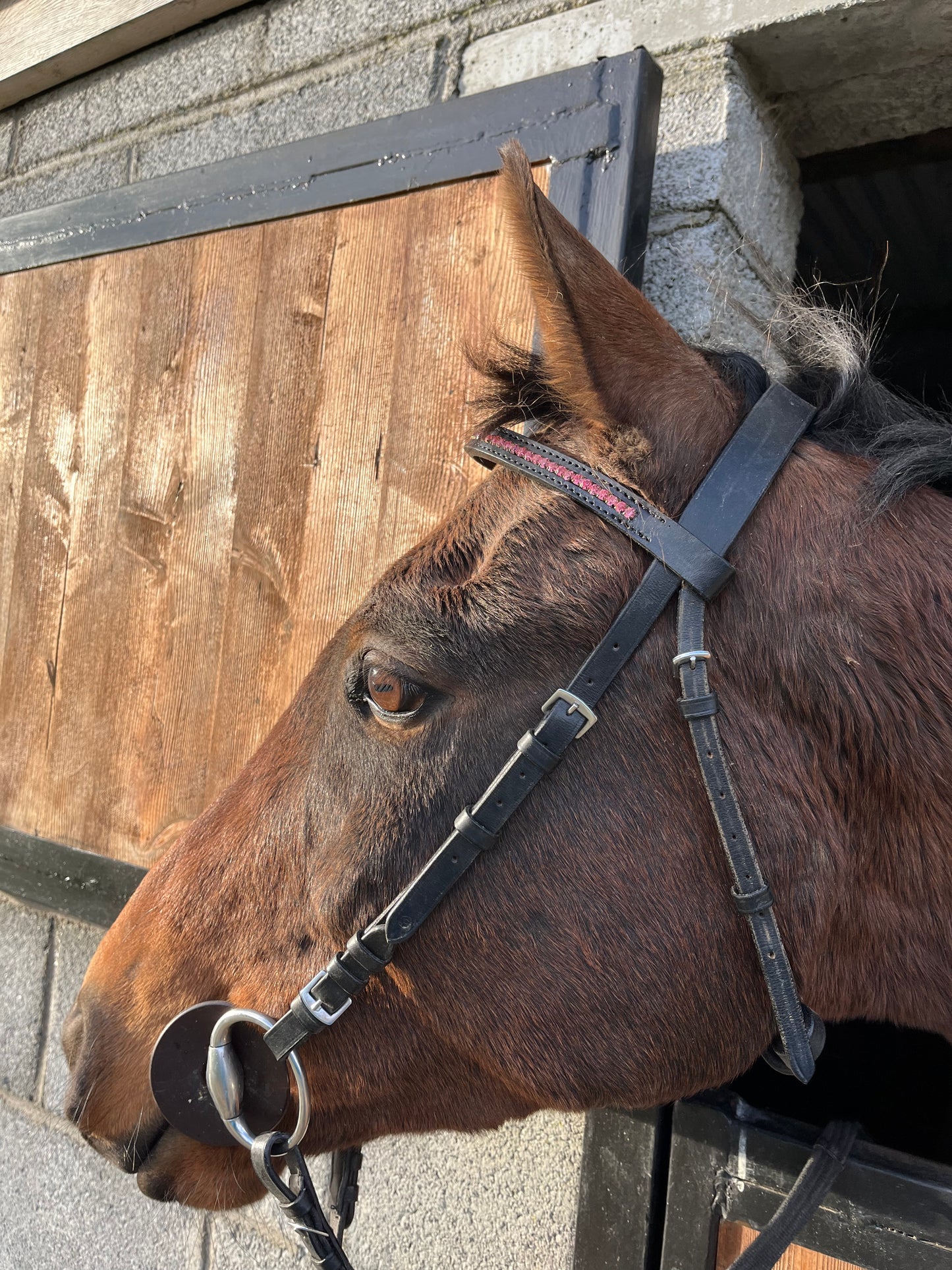 Rose Pink Crystal Browband