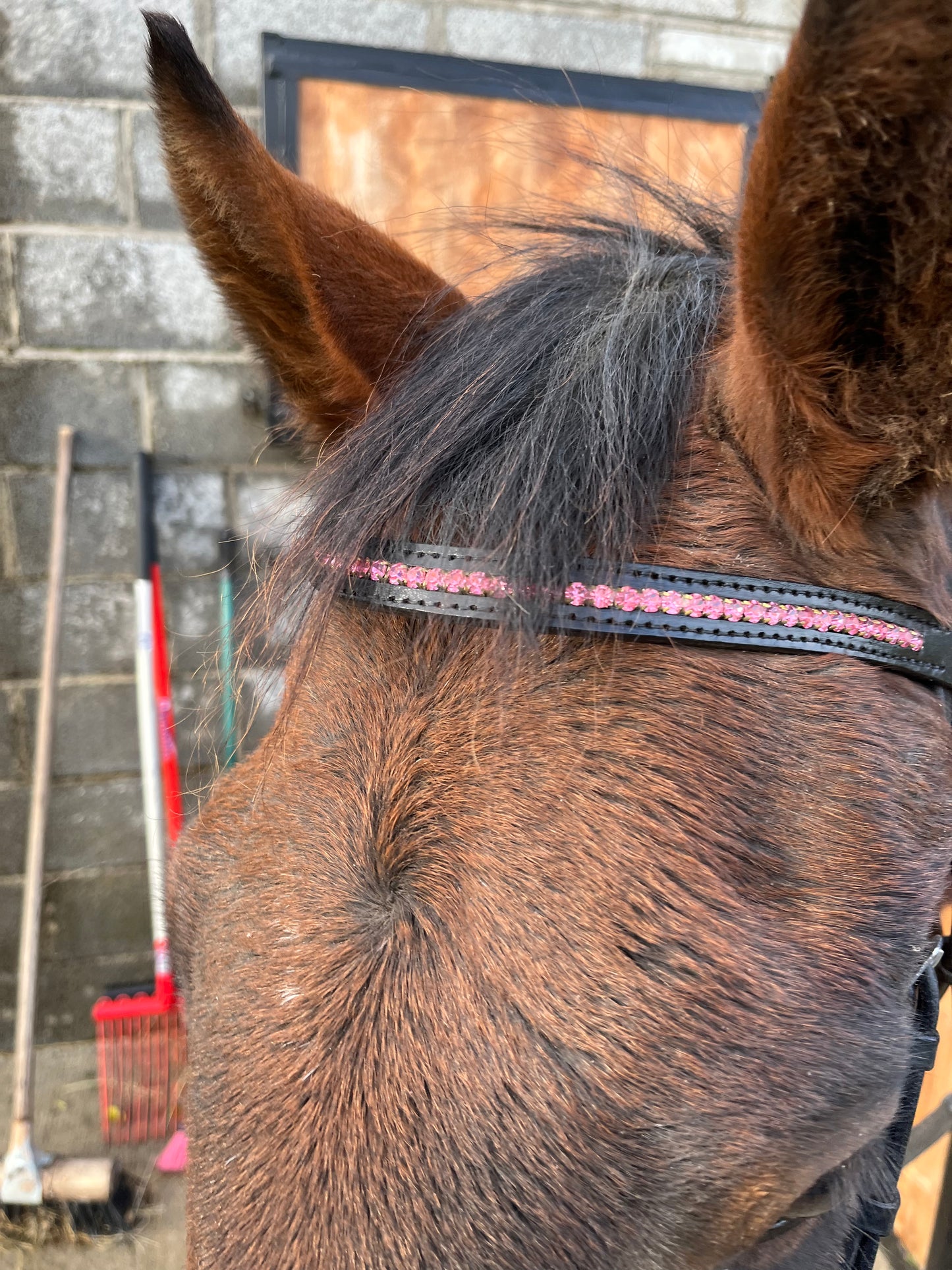 Rose Pink Crystal Browband