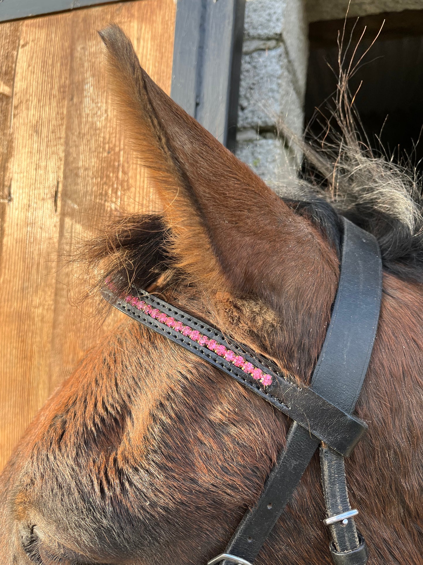 Rose Pink Crystal Browband