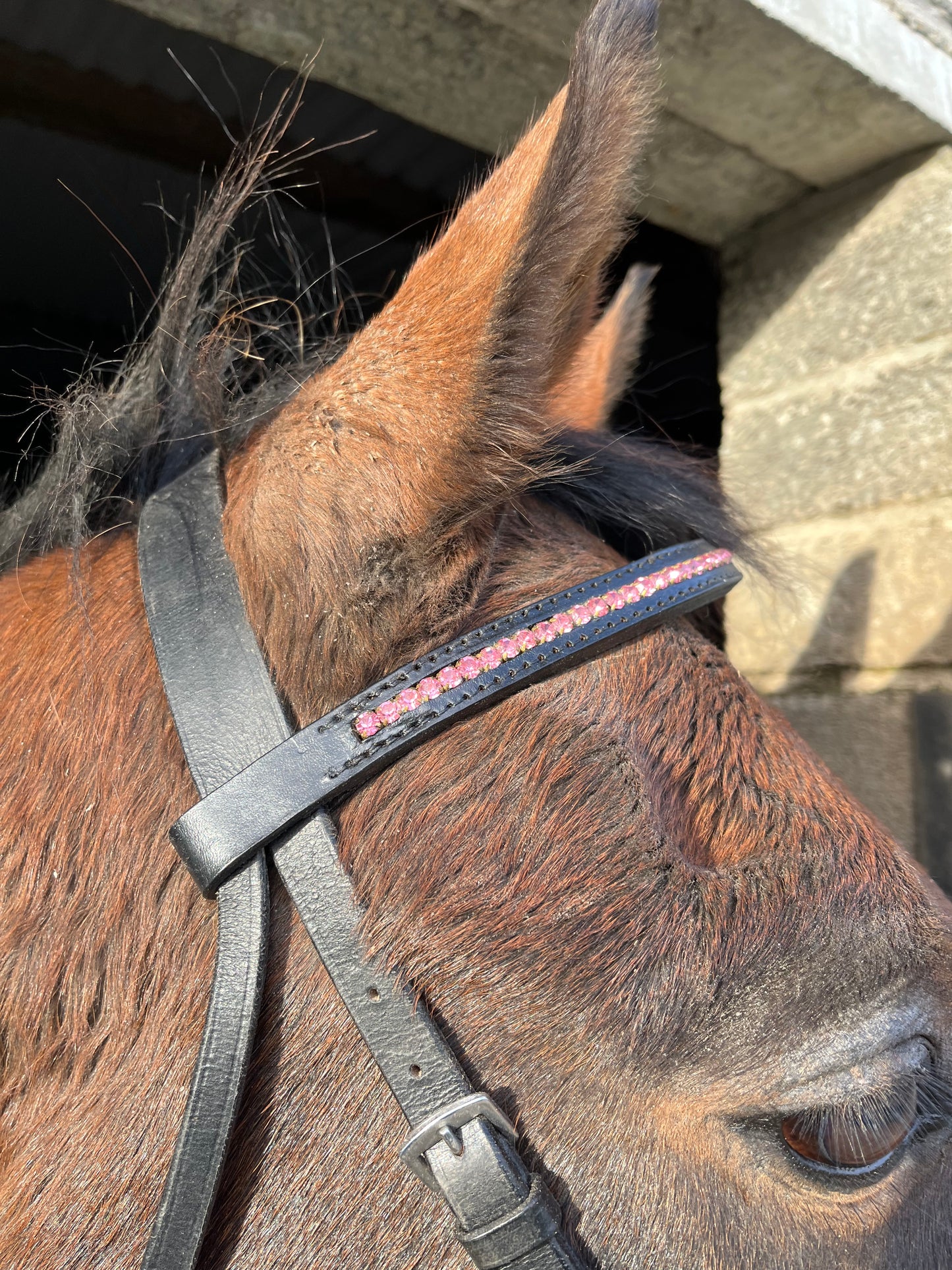 Rose Pink Crystal Browband