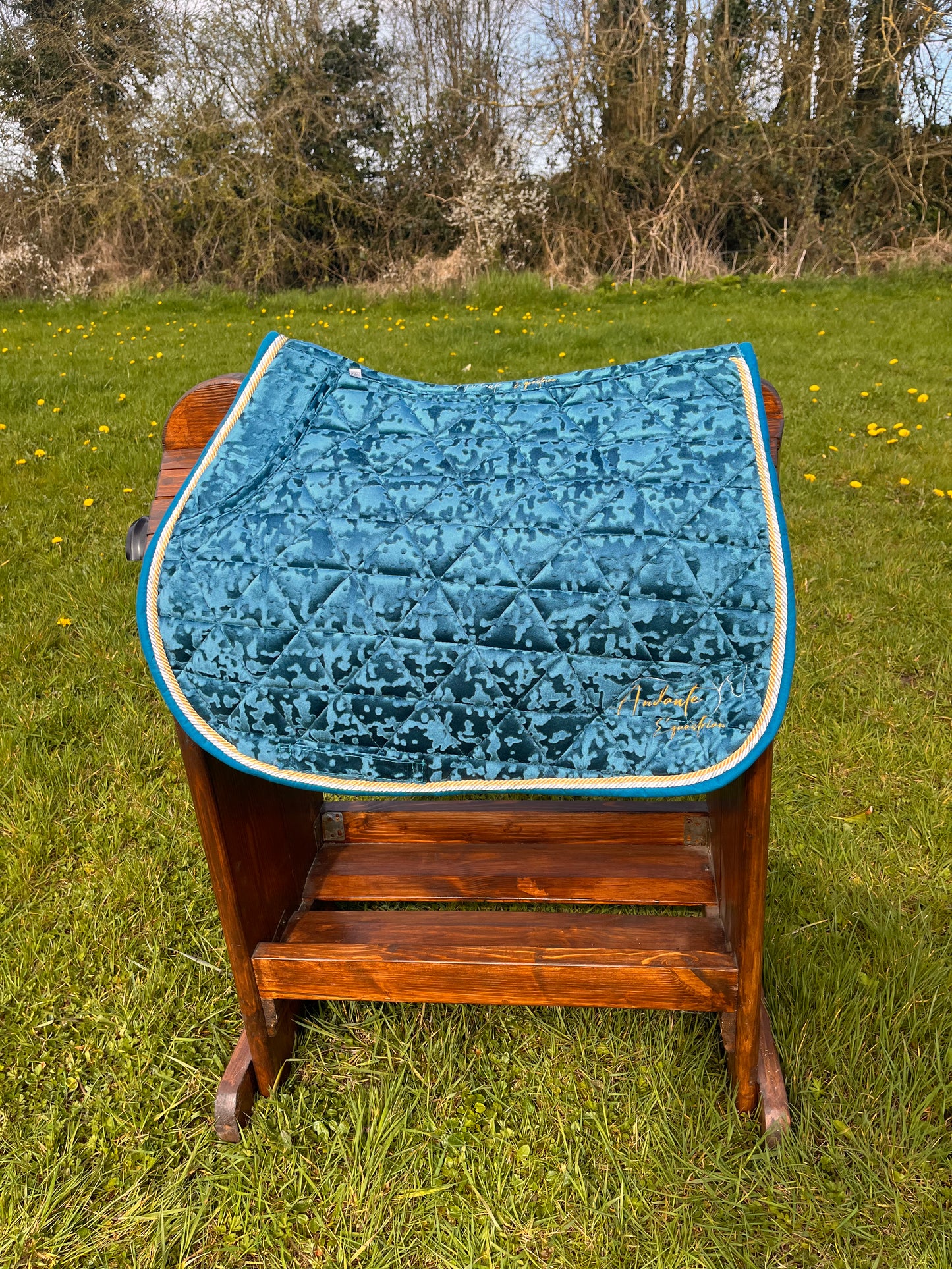 Teal Velvet Saddle Pad & Fly Bonnet Set